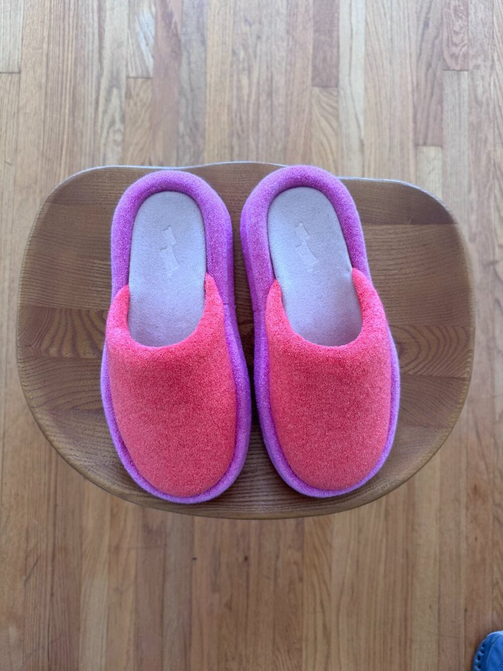 SKYLRK Rest Slipper - Juice, M6 / W7